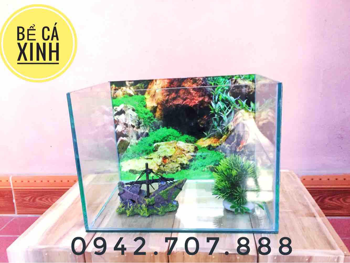Bể cá để bàn 30x20x20 có tranh nền trang trí ( tặng cây và thức ăn)