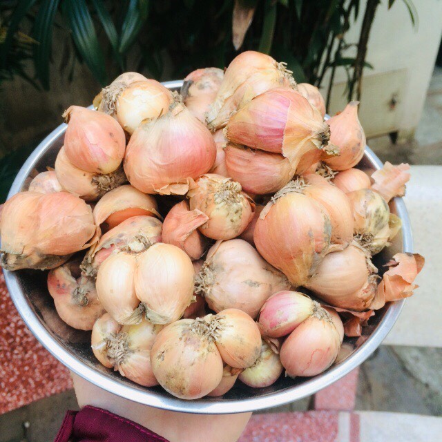 Hành ta khô cắt cuống 1000g