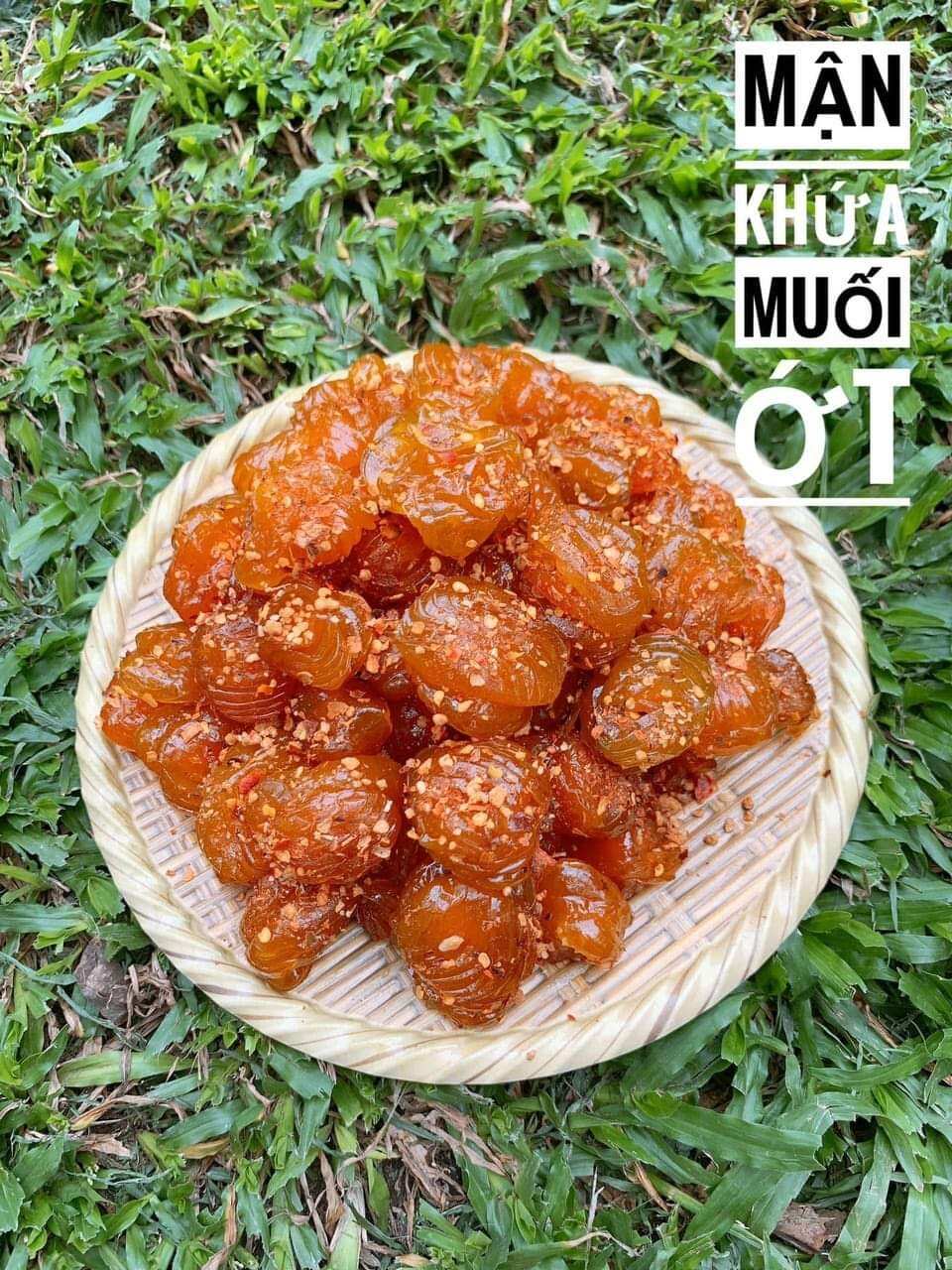 HCM]Mận khía dẻo Hà Nội 500G  date luôn mới