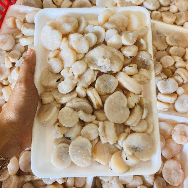 Giá sỉ 1kg cồi sò mai