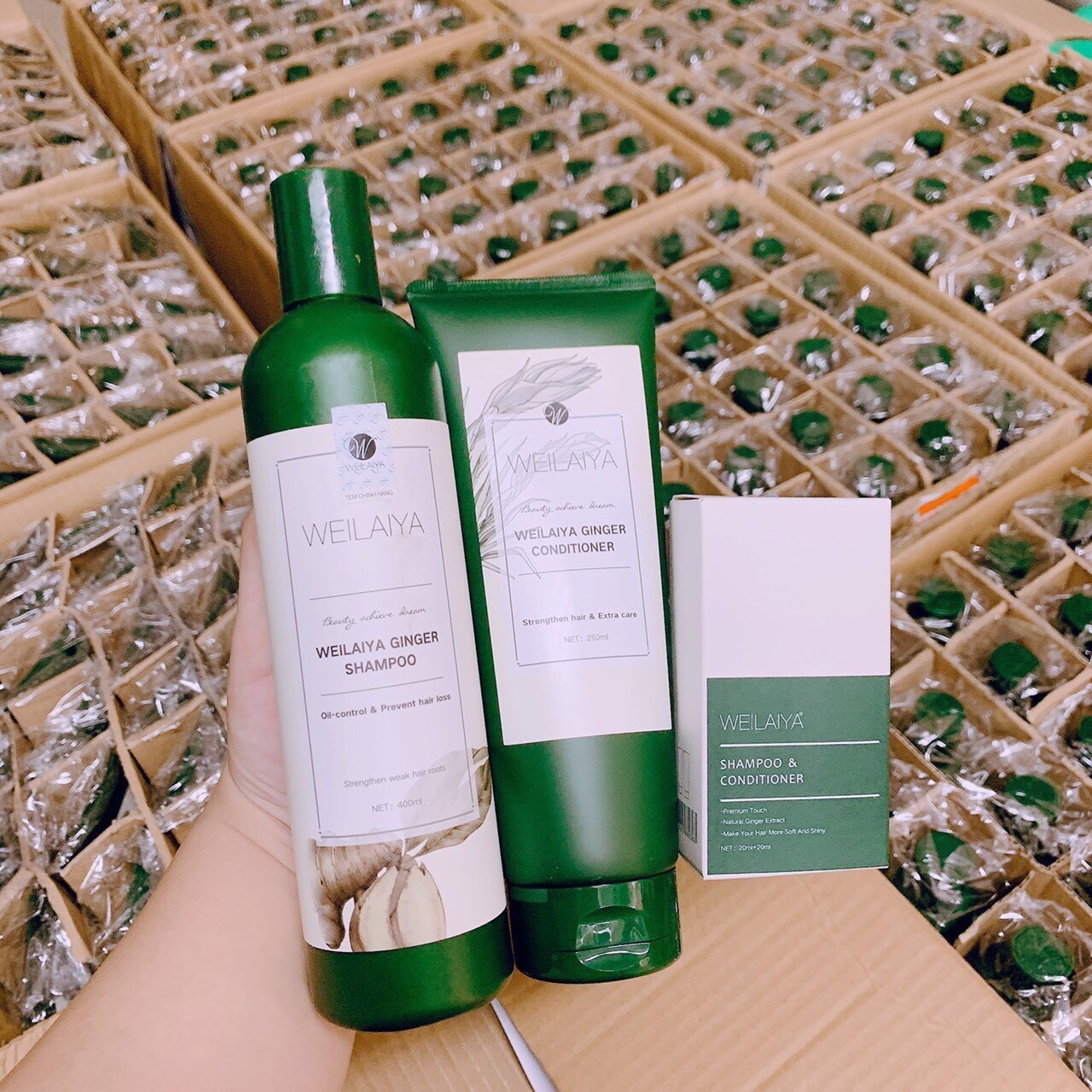 Bộ dầu gội gừng xả weilaiya mẫu mới tặng kèm sét mini