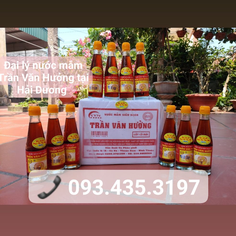 Nước mắm Trần Văn Hưởng 10 chai 250ml