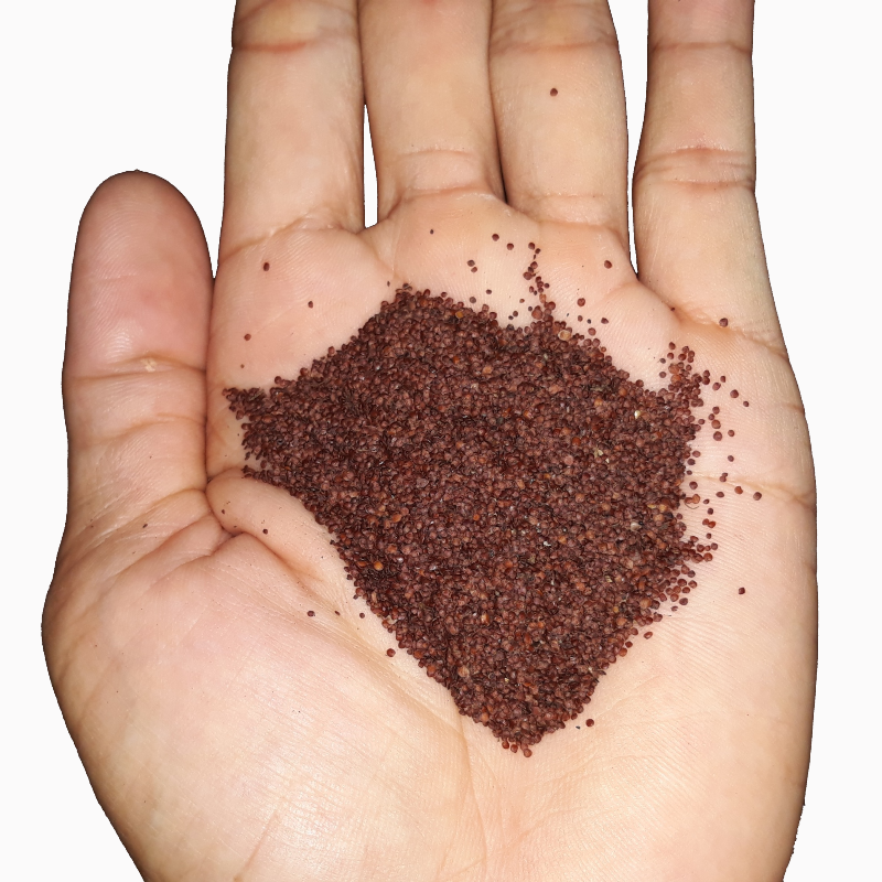 [HCM]Đình Lịch (hạt ngũ hoa) 100g