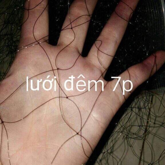 60m lưới đêm cước thái lan tàng hình đen mắt 7p cao 8.4m  5 dây 4 túi sợi 22 .chuyên bẫy các loại chim đêm như: bịp , cuốc , gà nước ,rẽ que , rẽ gjun , cu gáy , cu đất , ....