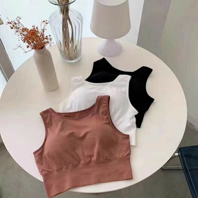 Áo bra croptop Hàn Quốc freesize có mút đệm 3 màu