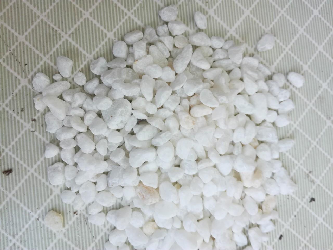 Combo 3 kg sỏi trắng viên vừa