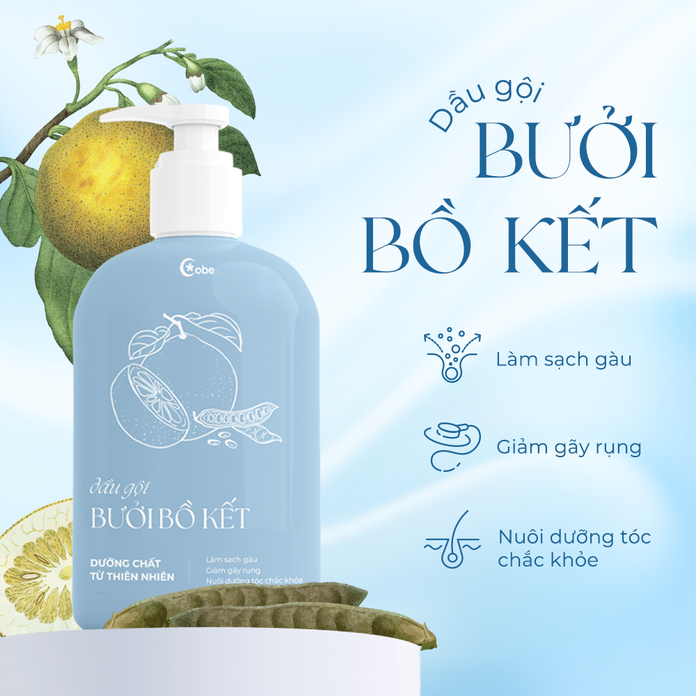 Dầu gội đầu Co be phục hổi hư tổn tóc, hỗ trợ giảm rụng tóc