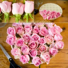 [HCM]Hoa hồng ống 2 lớp 15 bông Hoa hồng làm quà tặng ngày lễ kỉ niệm vô cùng ý nghĩa Hoa hồng quá tặng ngày lễ quà tặng ý nghĩa