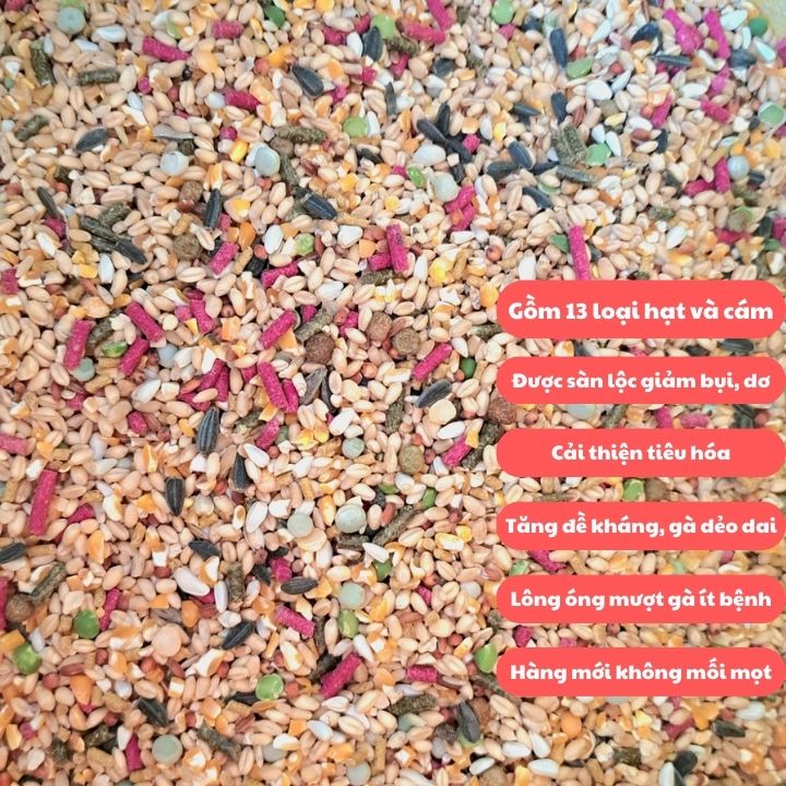 Ngũ cốc gà đá gà nòi, thức ăn gà nòi gà che túi loại 1kg giúp tăng cơ tăng bo nhanh cho gà túi 1kg