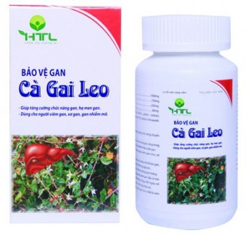 Bảo Vệ Gan Cà Gai Leo