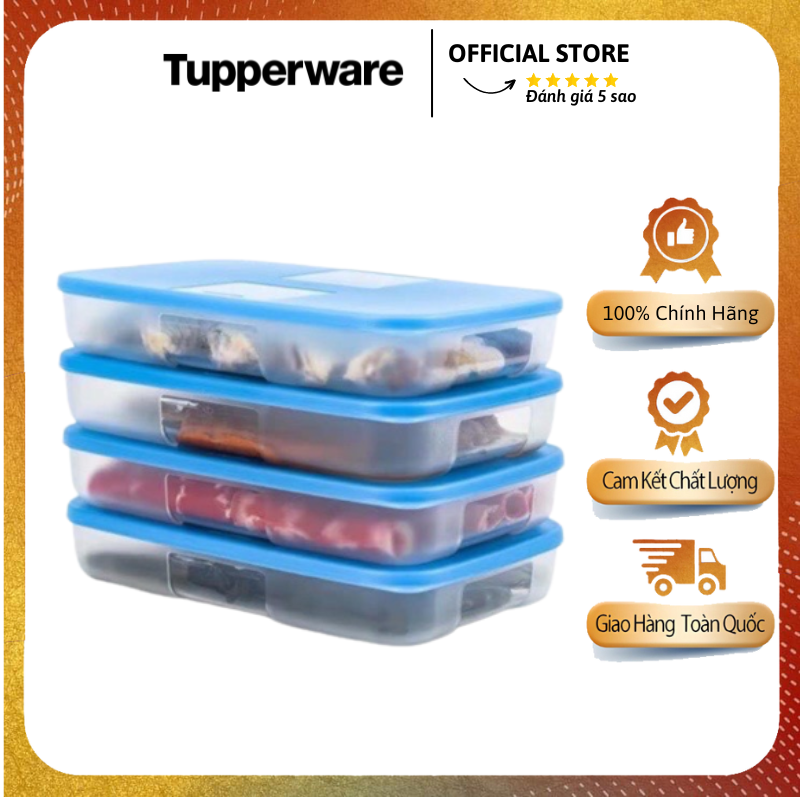 Hộp Trữ Đông Dẹt Tupperware 550ml - Tupperware Mall Chợ Lớn