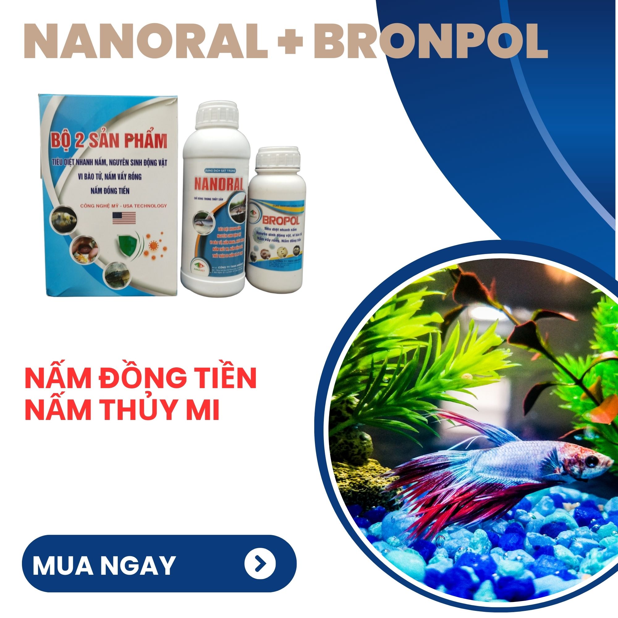 Nanoral + Bronpol thủy sản xử lí nấm trắng cá cảnh diệt nấm mang nhớt mang đặc biệt nấm thủy mi, nấm đồng tiền trên cá