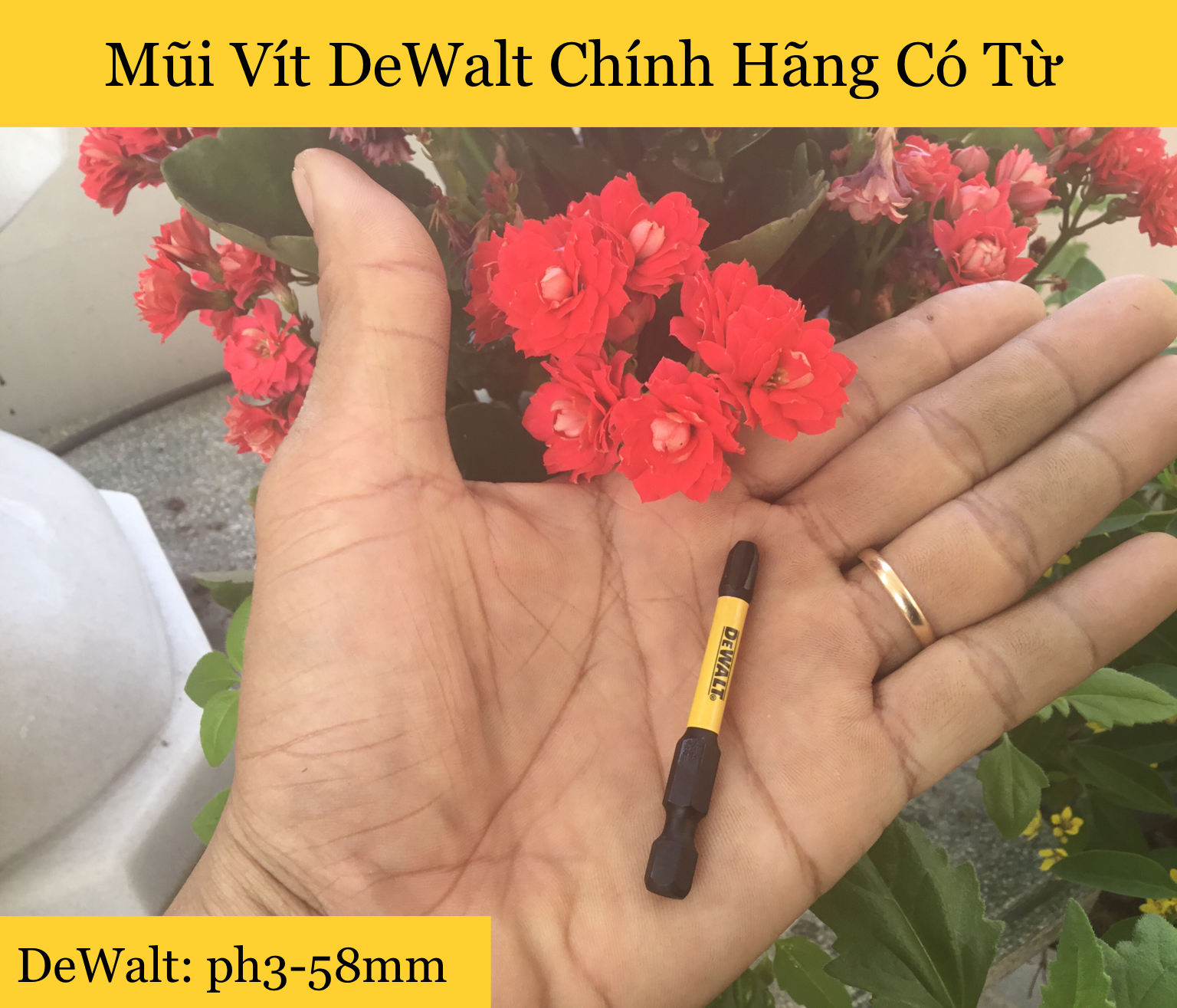 [HCM]Mũi Vít DeWalt Chính Hãng ph3-58mm