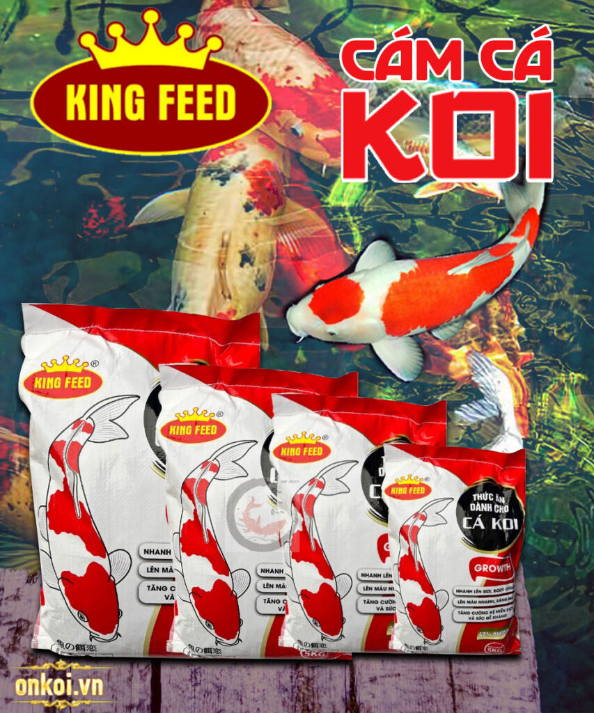 5KG Cám cá Koi tăng trưởng King Feed (42%Đạm) kingfeed