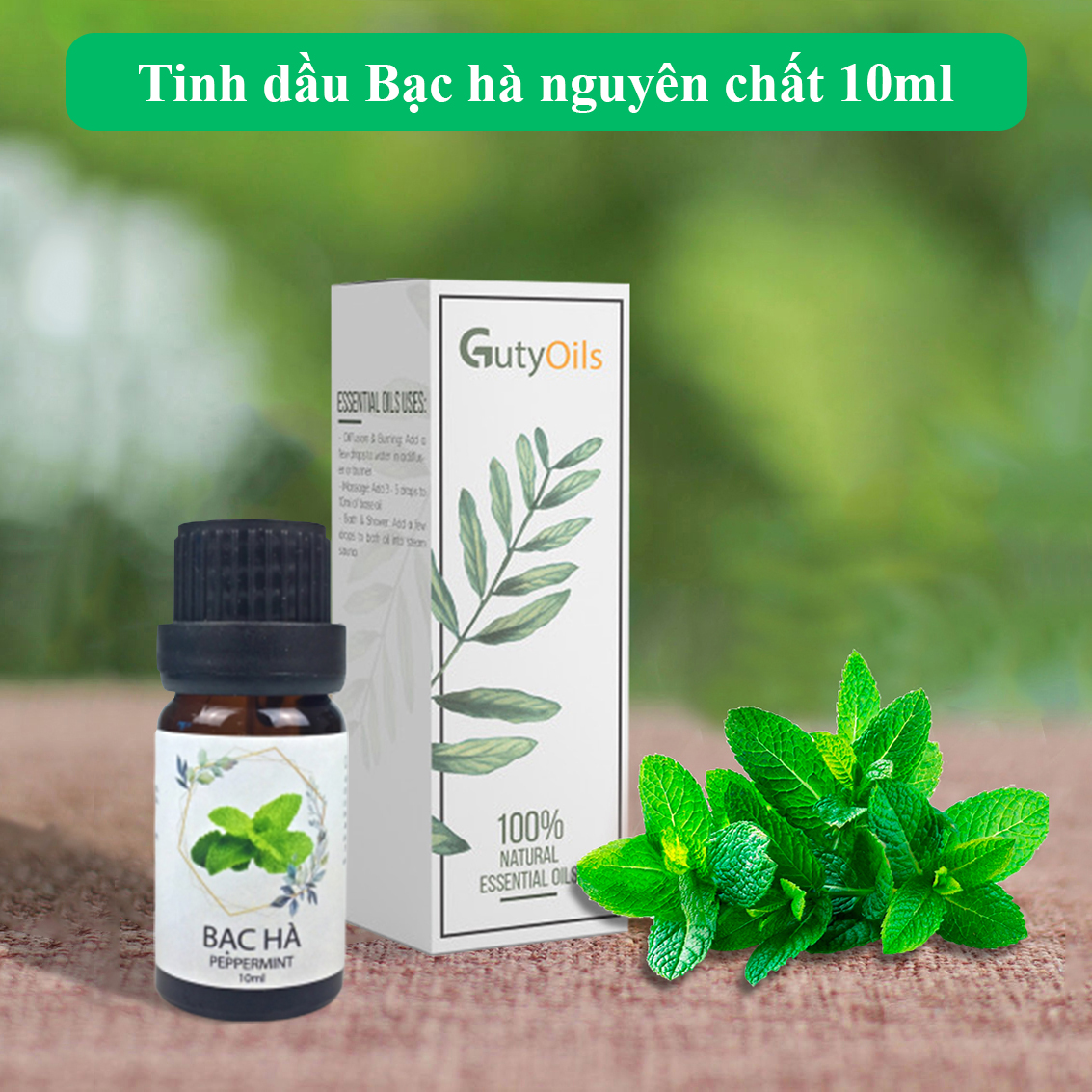 Tinh dầu bạc hà thiên nhiên nguyên chất GUTY Lọ 10ml
