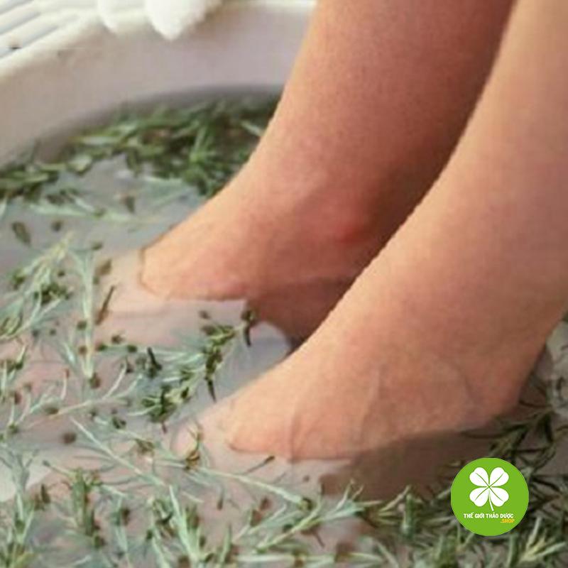 Cây ngải dại khô 1kg - td194