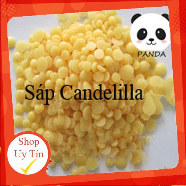 Sáp candelilla