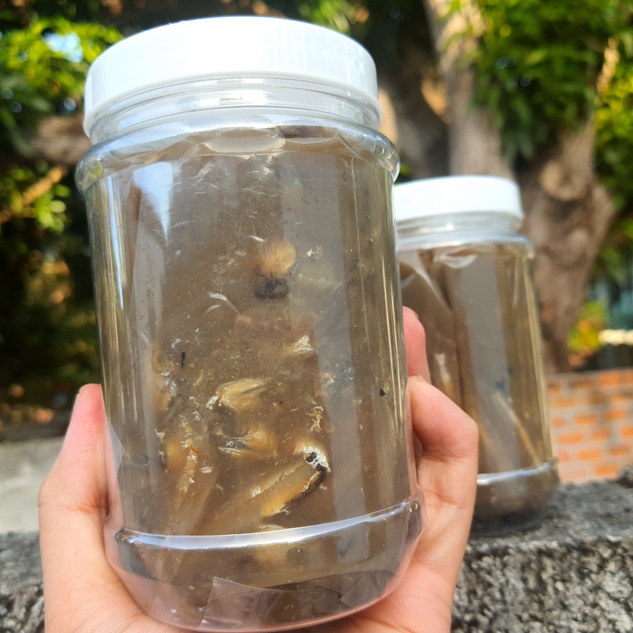 Mắm cái cá cơm Phú Yên, nguyên chất chưa pha - Đặc sản Bà Mười