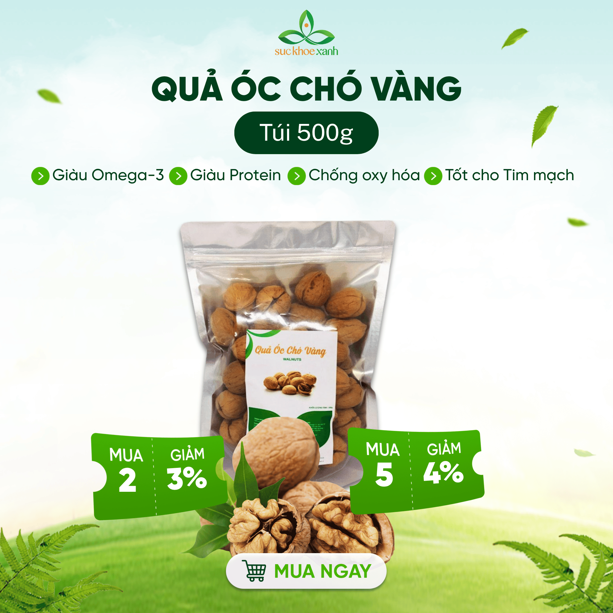 Quả óc chó vàng mỹ 500g sức khỏe xanh – bổ não, hỗ trợ giấc ngủ & tăng cường trí nhớ