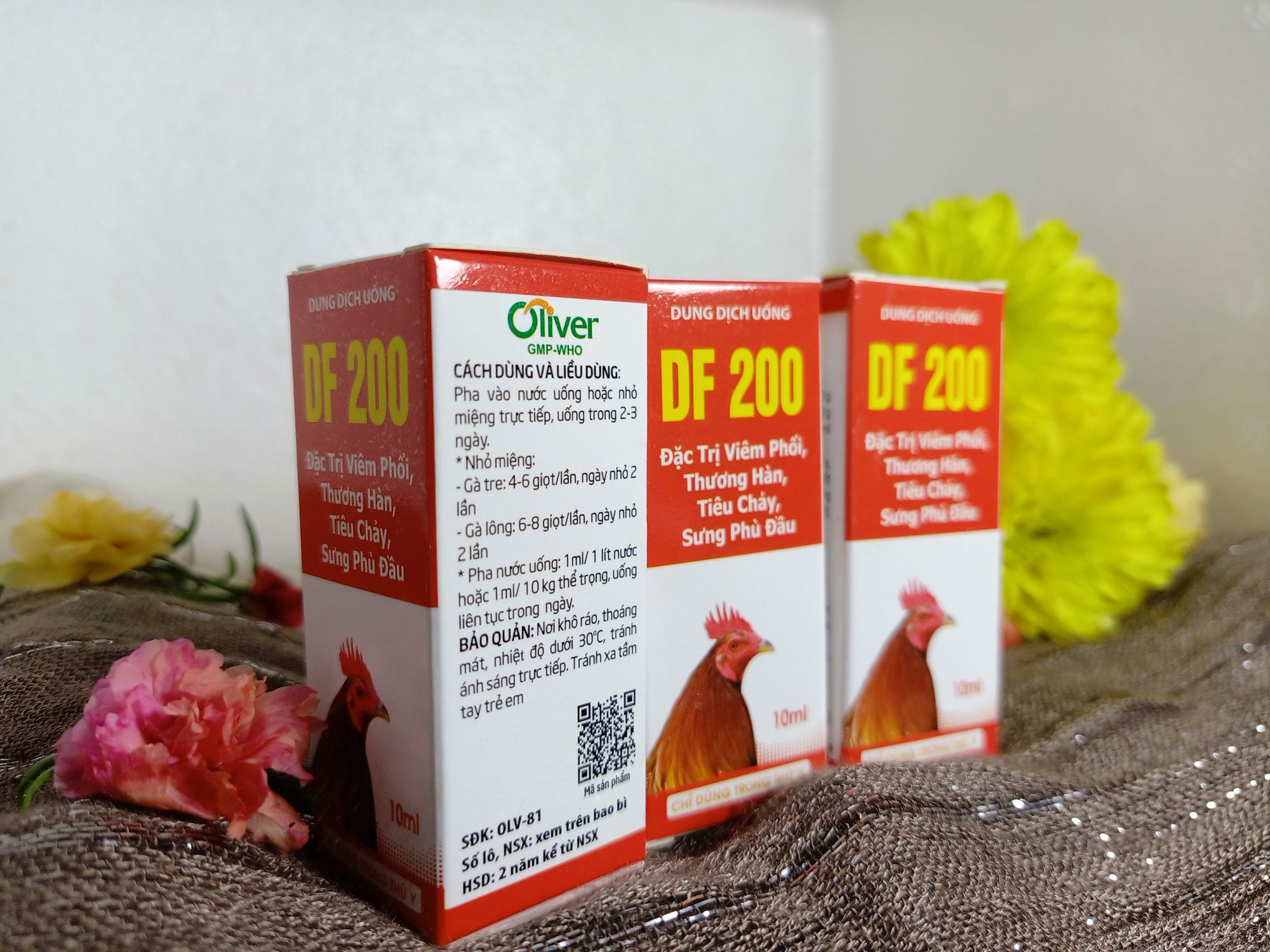 GÀ ĐÁ HẾT VIÊM PHỔI