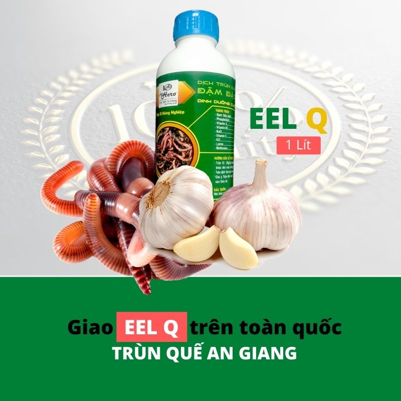 Chai Dịch Trùn Quế Đậm Đặc Eel Q Cho Lươn, Cá và BaBa ( 1 LÍT )