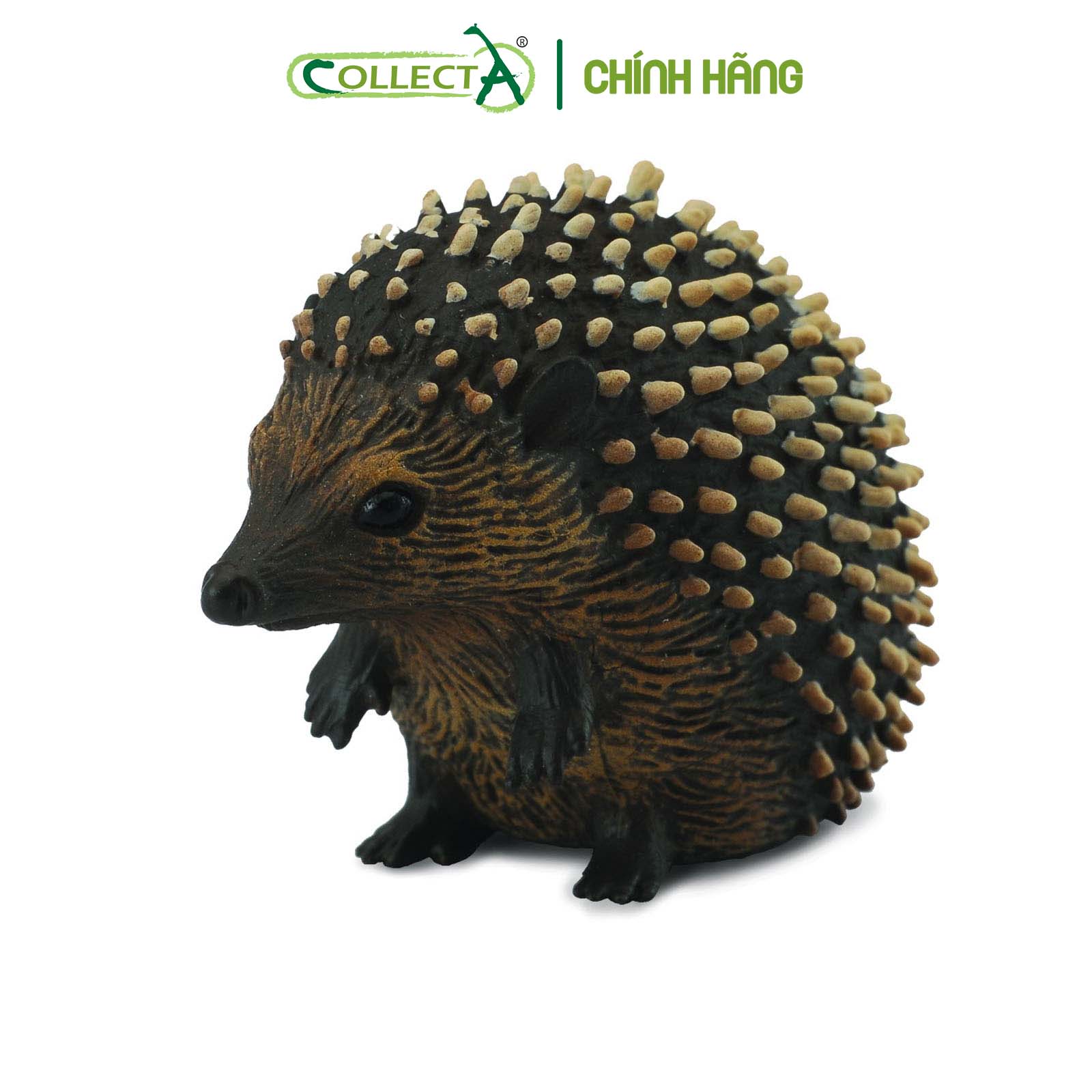 Đồ chơi mô hình động vật CollectA Nhím
