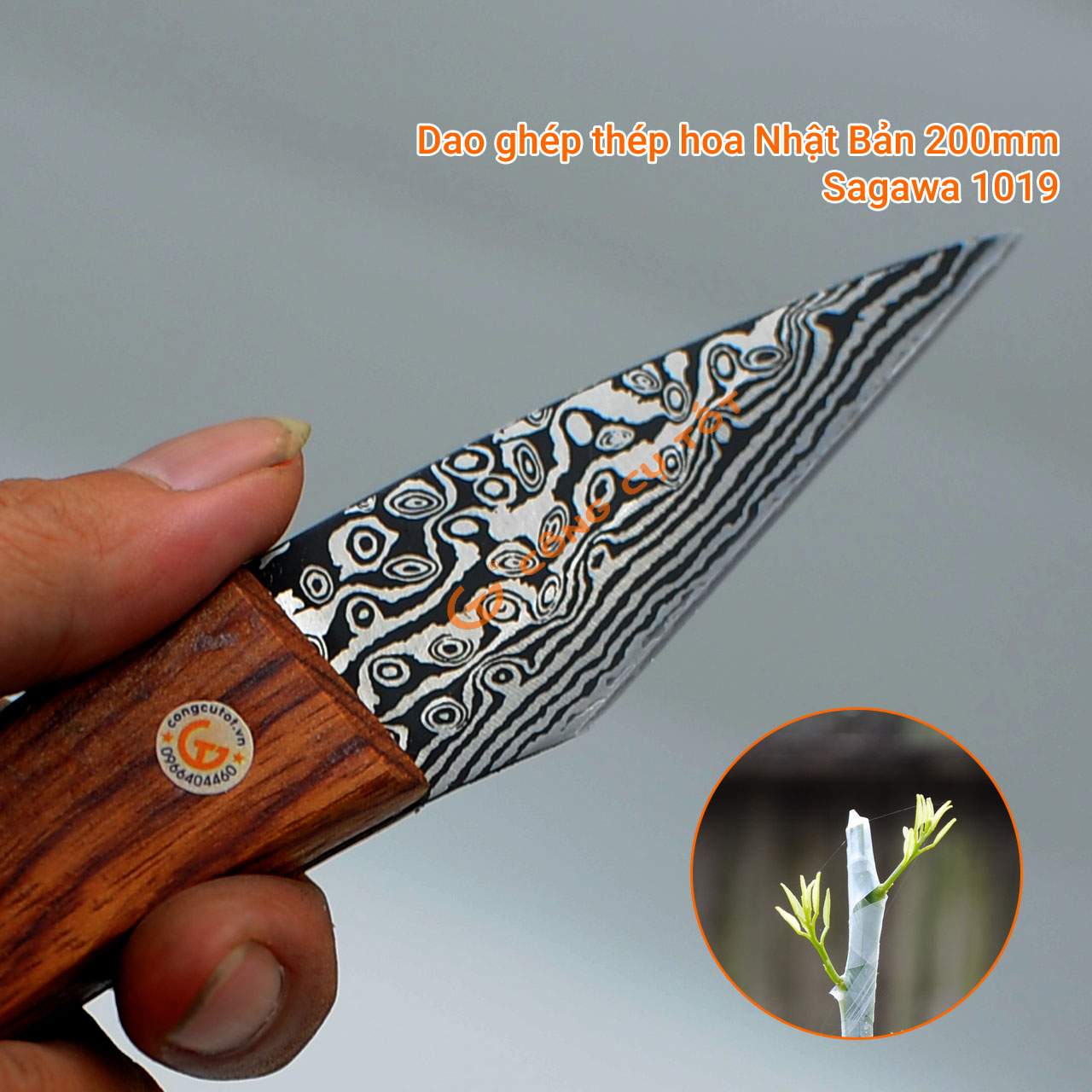 Dao ghép cành cây thép hoa Nhật Sagawa 1091