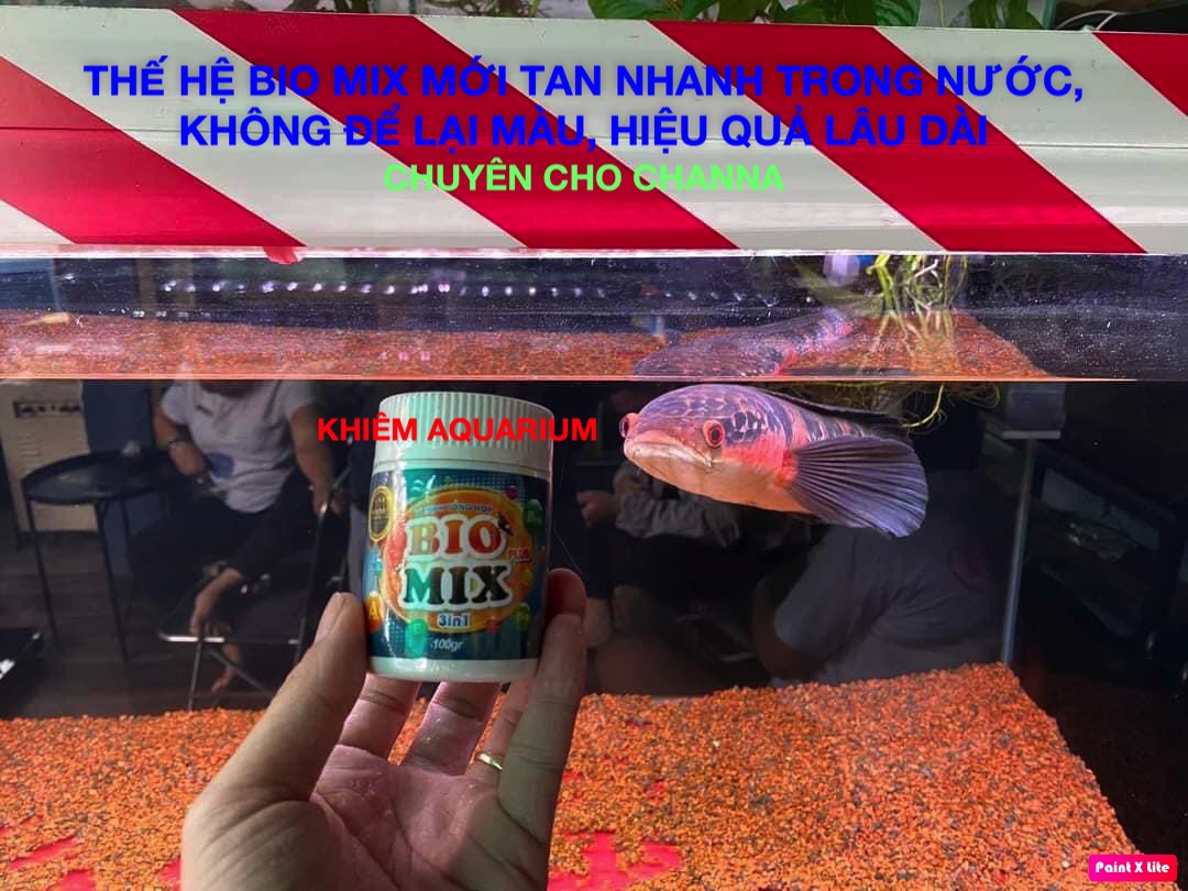 Biomix plus - vi sinh làm trong nước bể cá