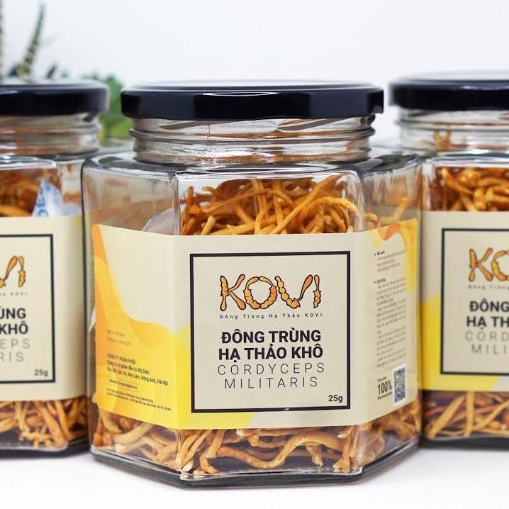 Đông Trùng Hạ Thảo KOVI hũ khô 25gr - ĐTHT nuôi trồng tại Việt Nam
