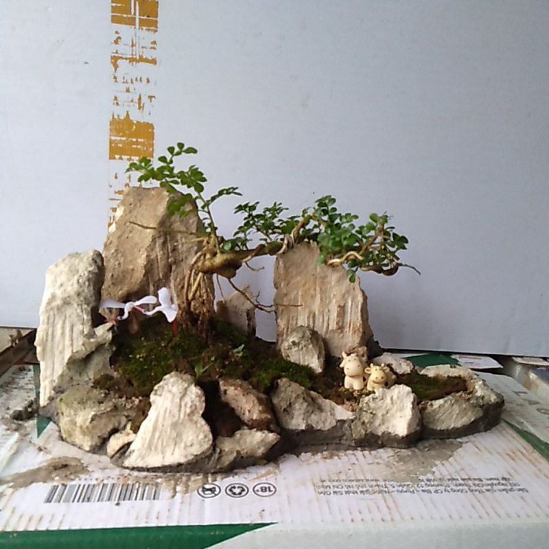 Núi đá trồng cây bonsai mini-đá thấm thủy-nguyên khối mâm núi đá