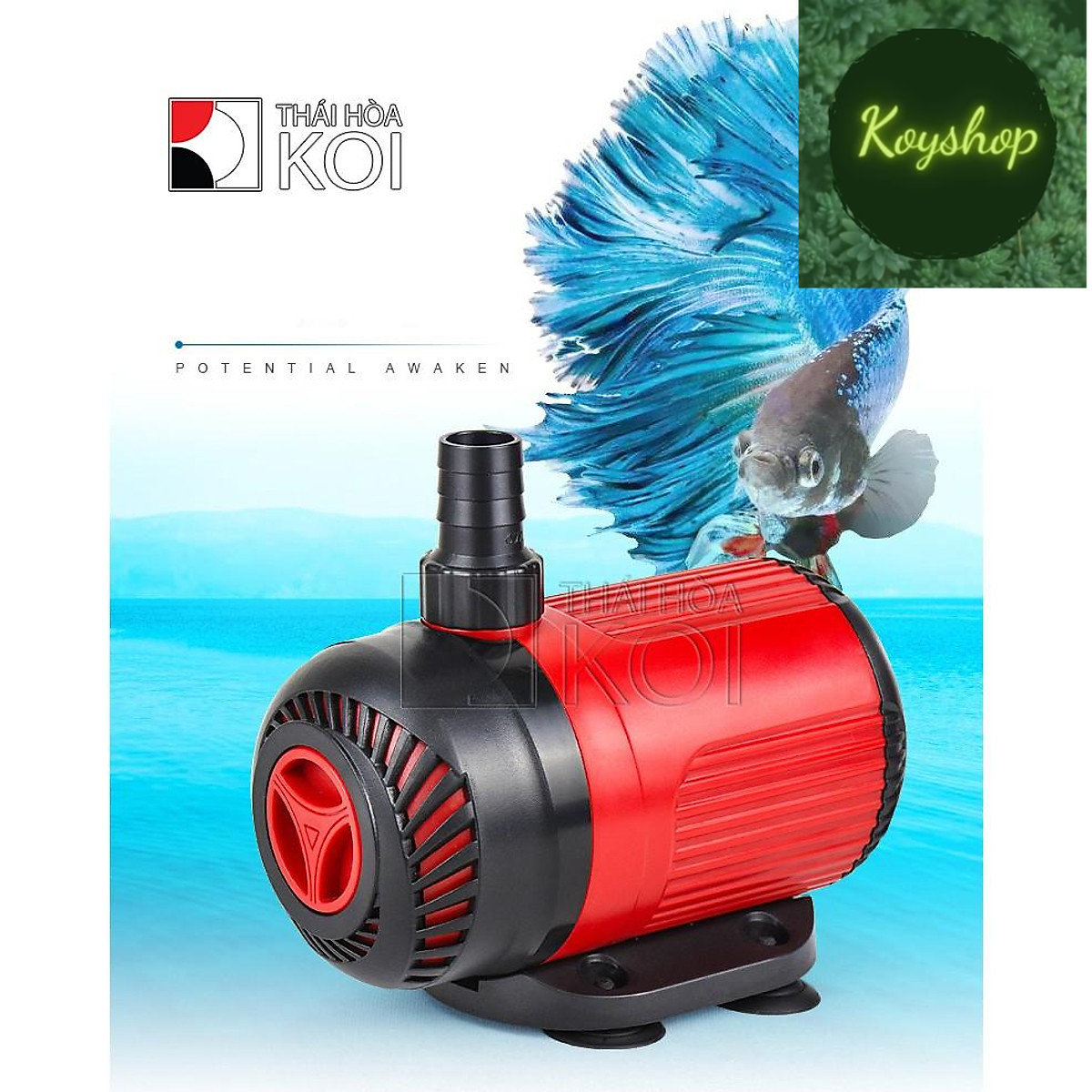 Hoàn Tiền 10% MÁY BƠM BỂ CÁ BAOYU BYB 4000 - BY 105