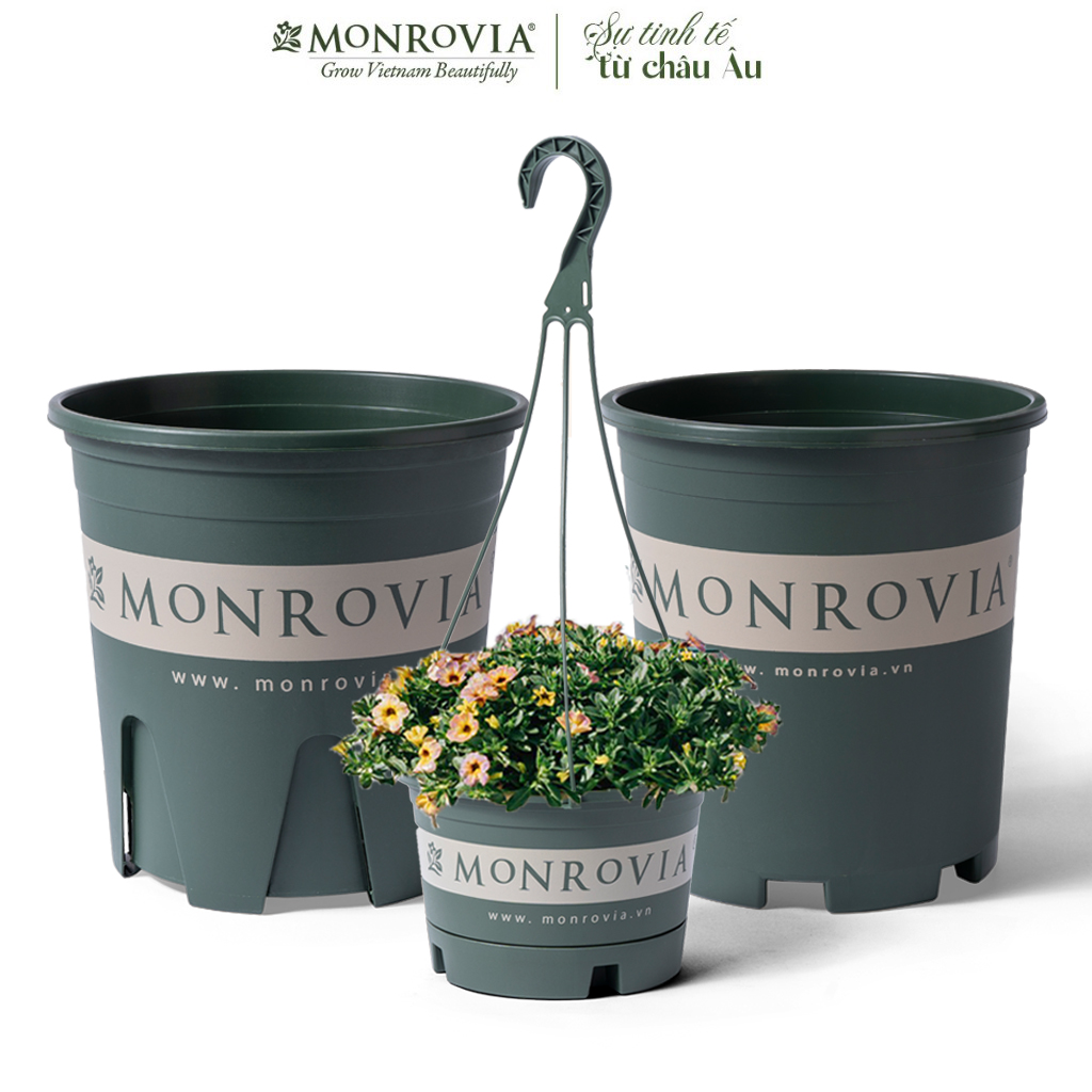 Chậu nhựa trồng cây MONROVIA để bàn, treo ban công, treo tường, ngoài trời, sân vườn, tiêu chuẩn Châu Âu
