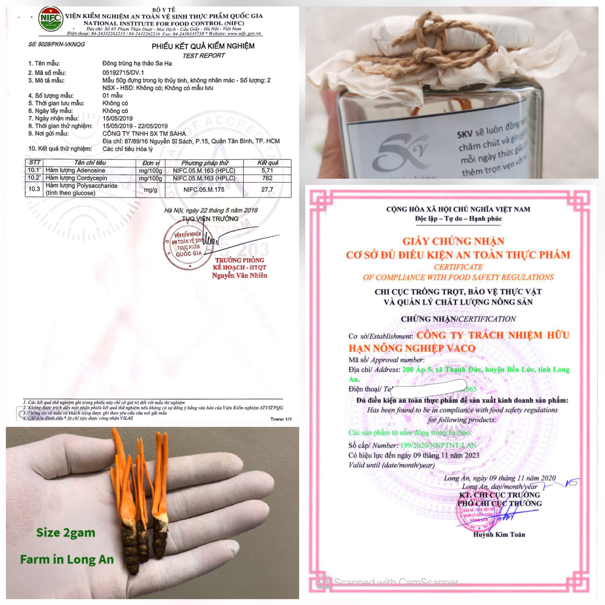 [HCM]Đông trùng hạ thảo nguyên con hỗ trợ cho nam giới - giảm đau lưng mỏi gối - giảm căng thẳng mệt mỏi - Bán lẻ theo con