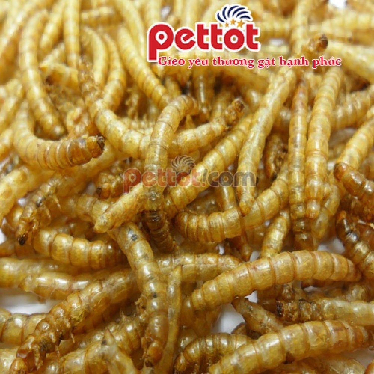 Sâu khô rang bơ Size trυng cho Hamster, Sóc, Nhím 1KG