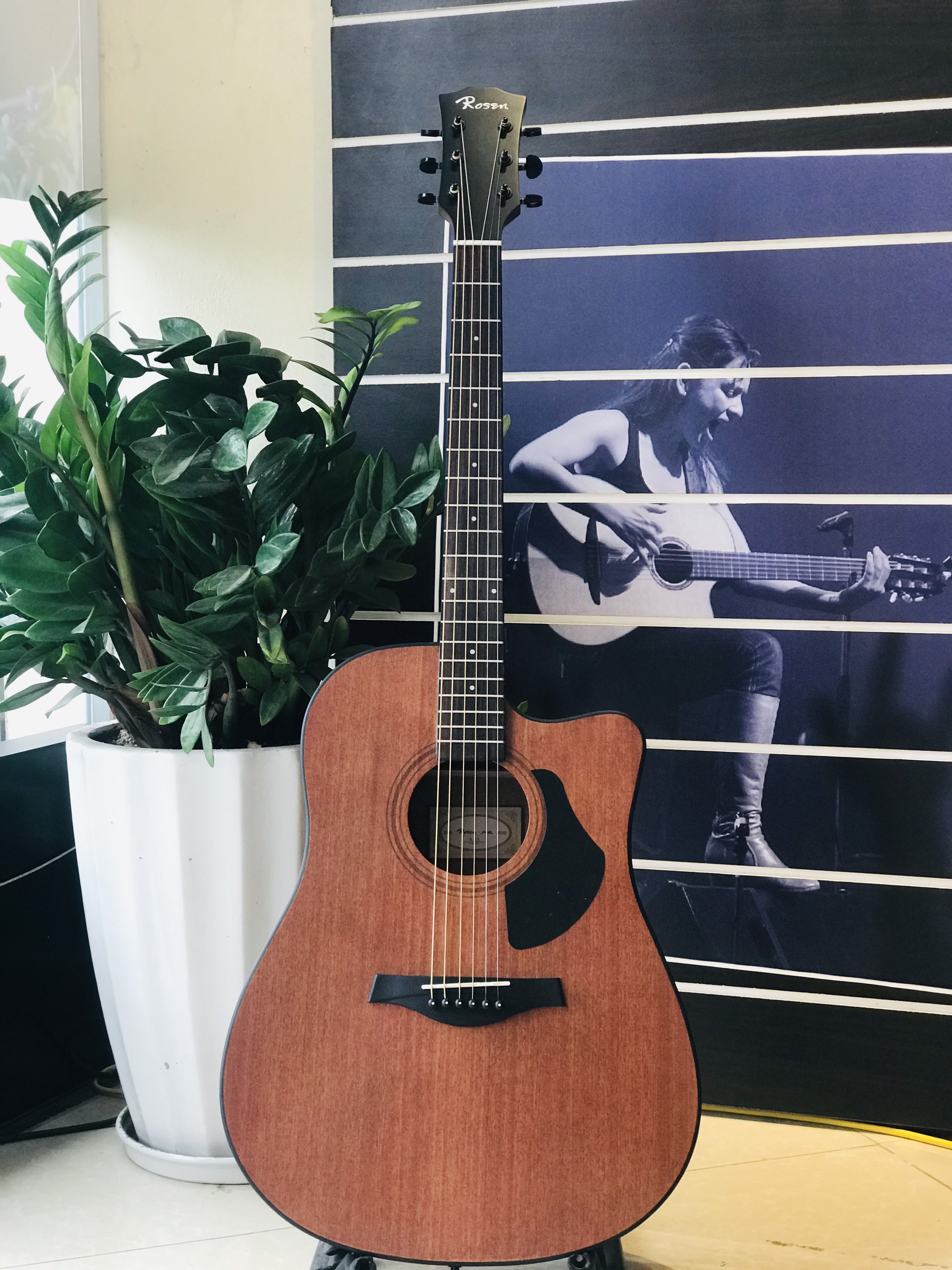 Đàn Guitar Acoustic Rosen G15 chính hãng
