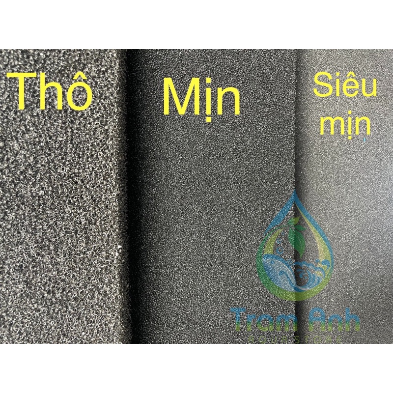 Bông Mút đen lọc nước bể cá