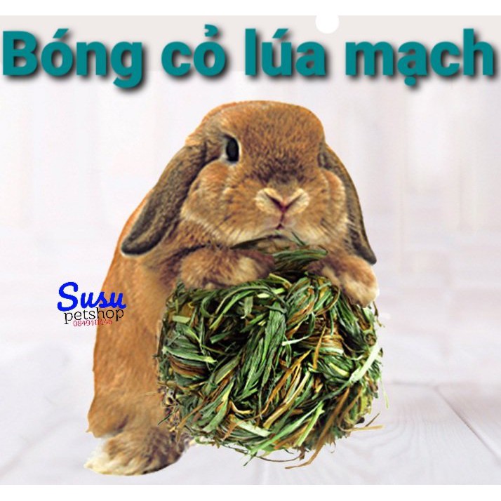 Bóng cỏ lúa mạch cho Thỏ,Guinea Pig, Chinchilla..