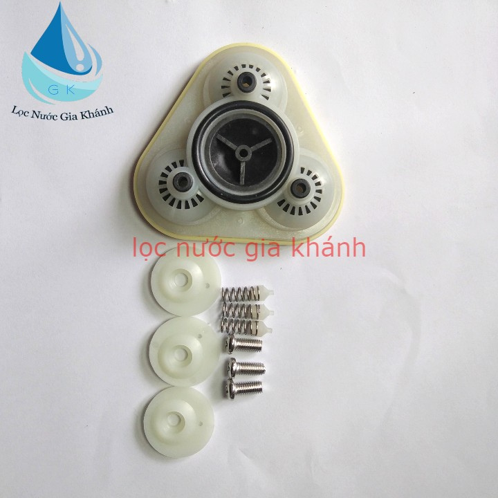 10 bộ kíp bơm taiwan, bộ phớt bơm máy lọc nước taiwan