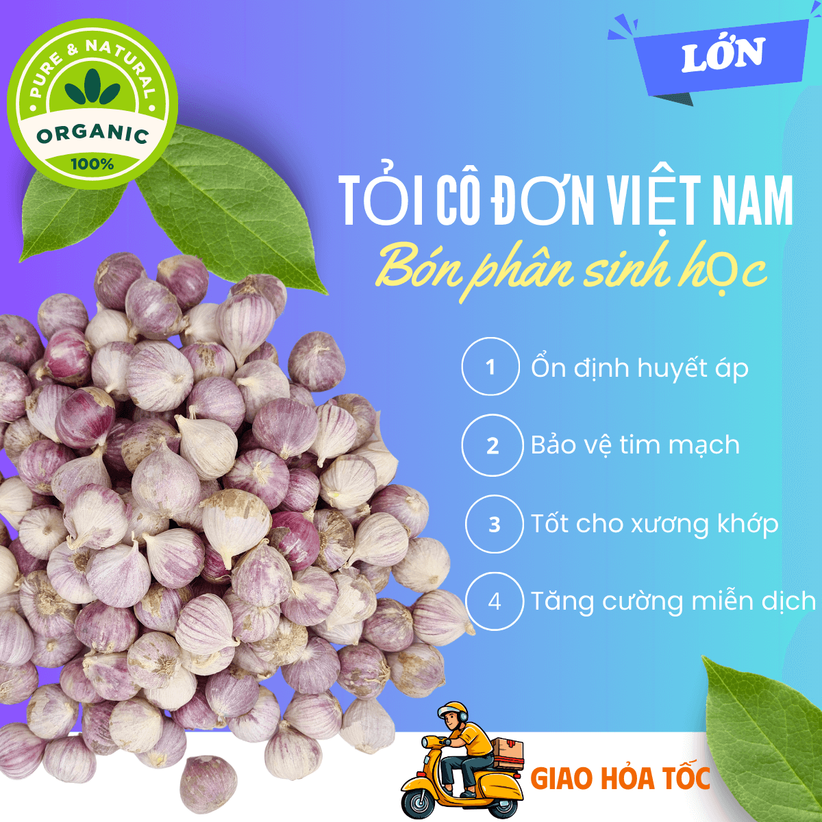 [Organic] [HCM] 2kg Tỏi cô đơn Việt Nam, tỏi mồ côi thơm ngon, tỏi 1 nhánh chắc củ loại LỚN không hóa chất tăng trưởng, tốt cho sức khỏe - thương hiệu VỢ CHỒNG TÔI