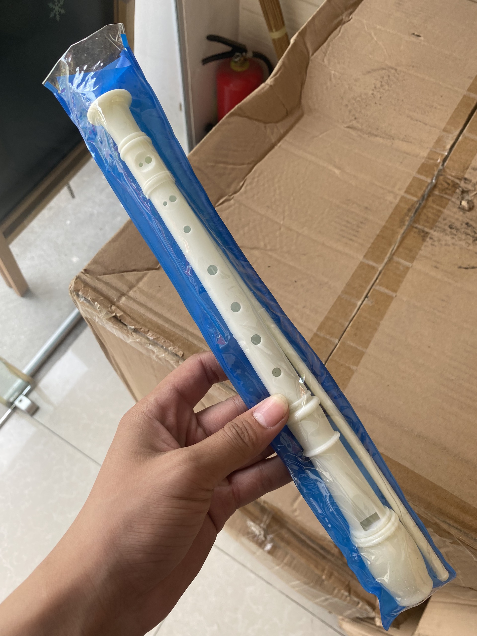 Sáo recorder nhựa 8 lỗ dành cho học sinh