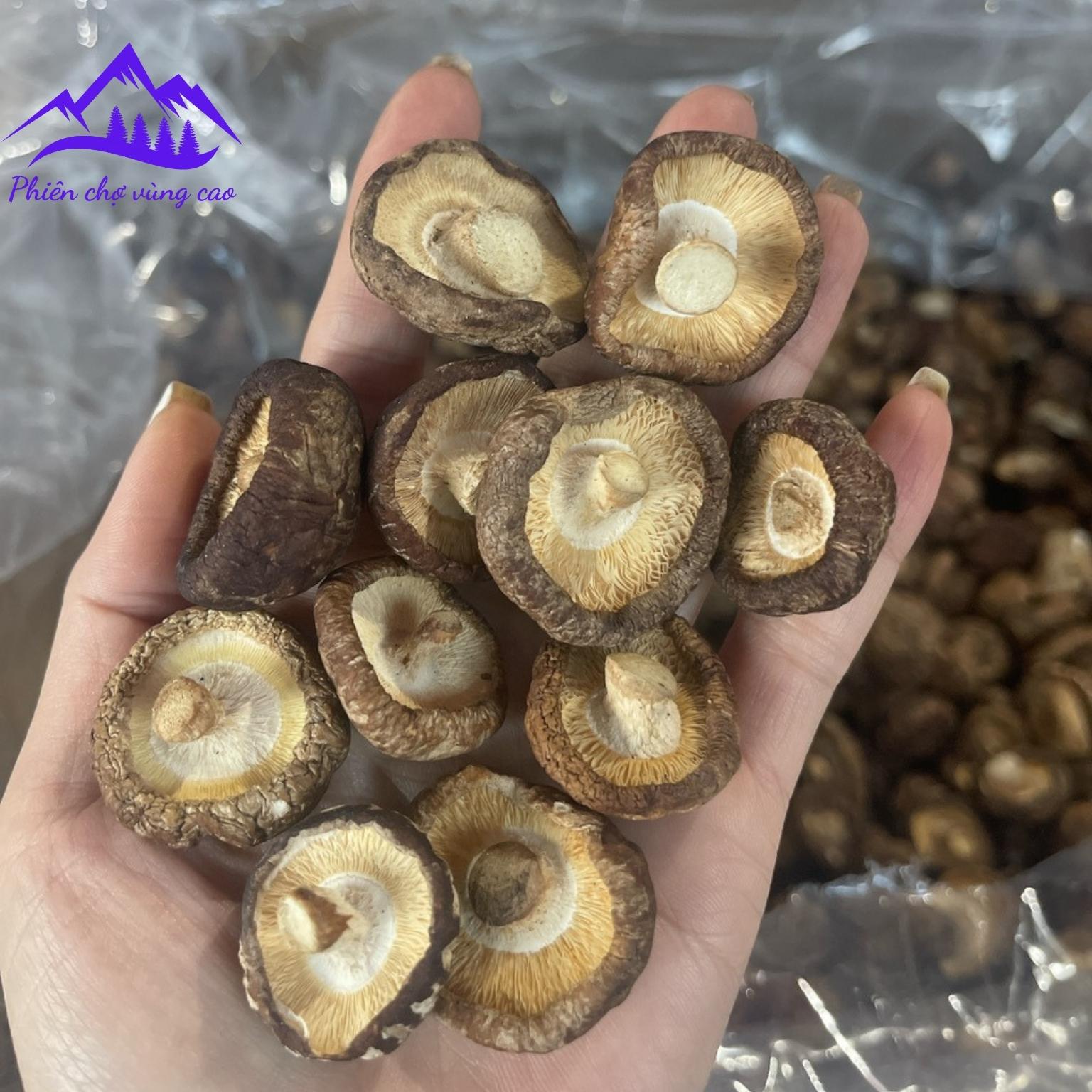 Nấm đông cô khô Sa Pa, nấm cúc loại 1 Đặc sản nấm hương rừng Tây Bắc, nấm đông cô, nấm hương rừng xiên que phơi khô