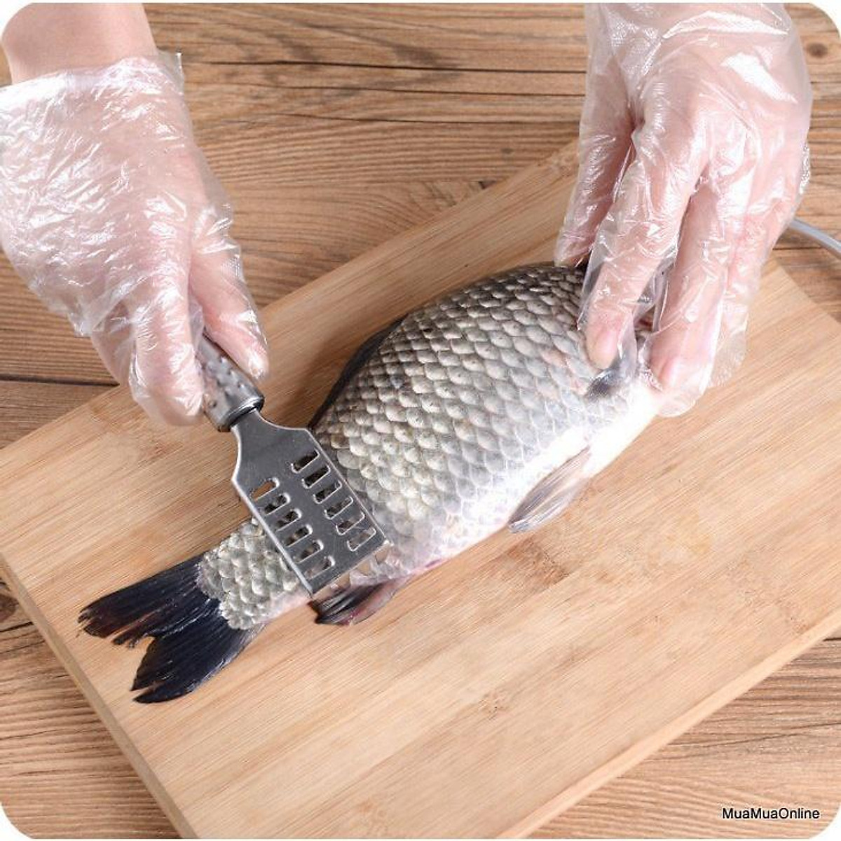 Dụng cụ đánh bay mọi vảy cá cứng nhất