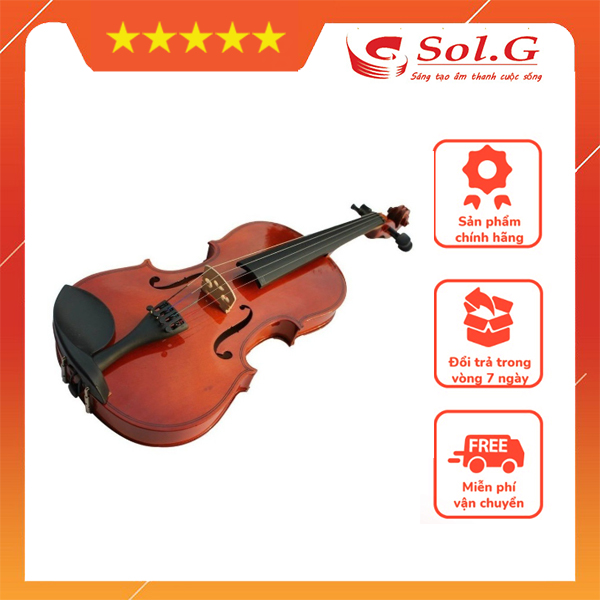 Đàn Violin 4/4 Vines V10 Phân Phối Chính Hãng SolG