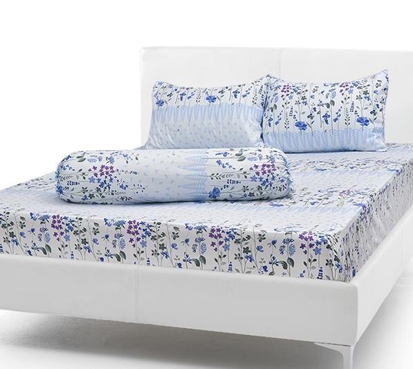 Chăn/Mền Cotton Thắng Lợi chần gòn 1m7x2m lavender biển