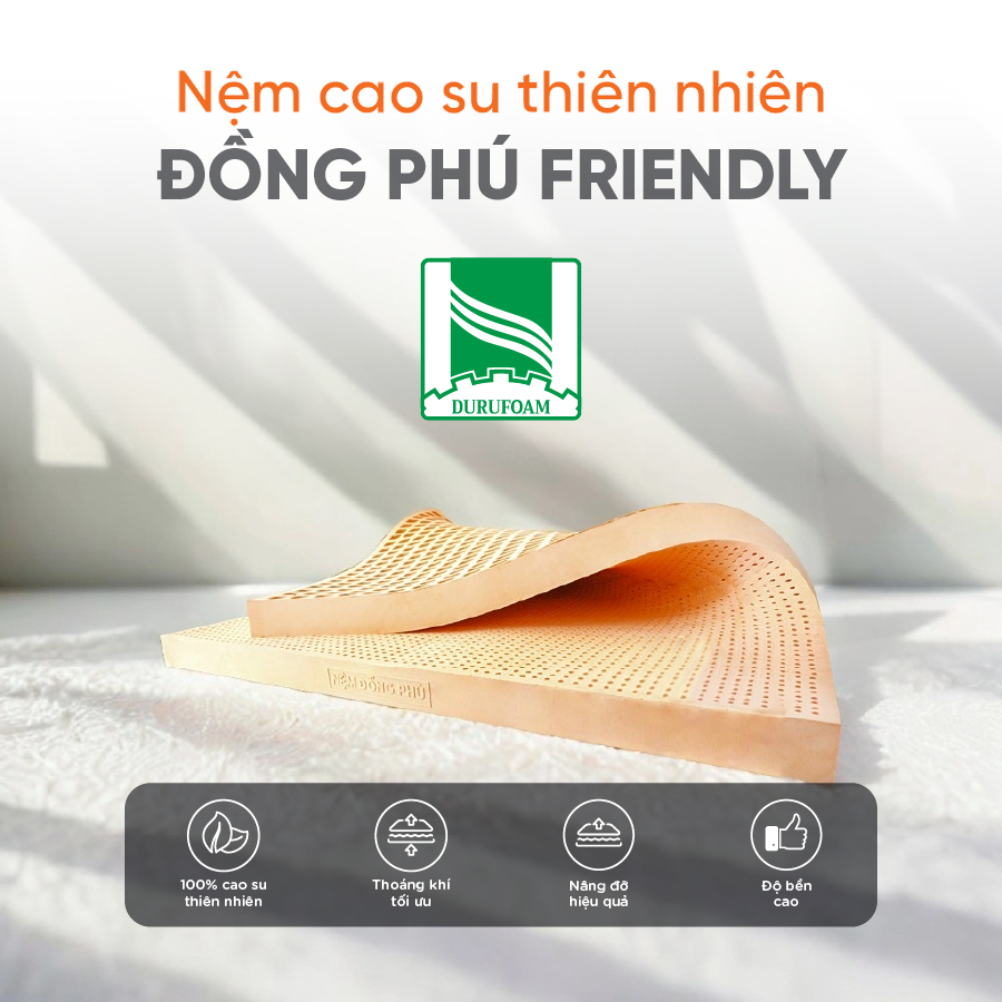[Trả góp 0%] Nệm 100%  Cao Su Thiên Nhiên Đồng Phú Friendly-Bảo hành 10 năm - Êm ái- Đàn hồi.