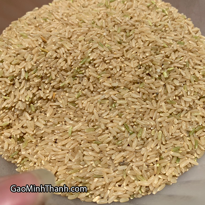 Gạo Lứt Nguyên Cám