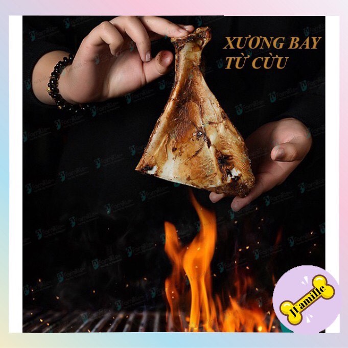 [SO HOT]Xương Gặm Mài Răng Cho Chó, Thú Cưng, Bổ Sung Canxi, Dinh Dưỡng, Cao Cấp, Xương Bay Từ Cừu - JFamille