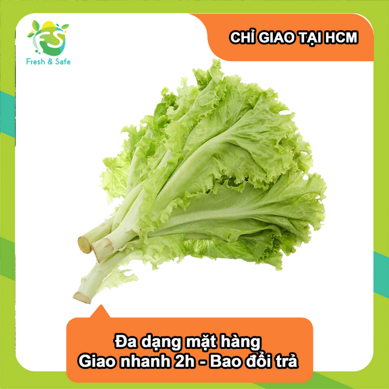 Xà lách lolo xanh - 300g