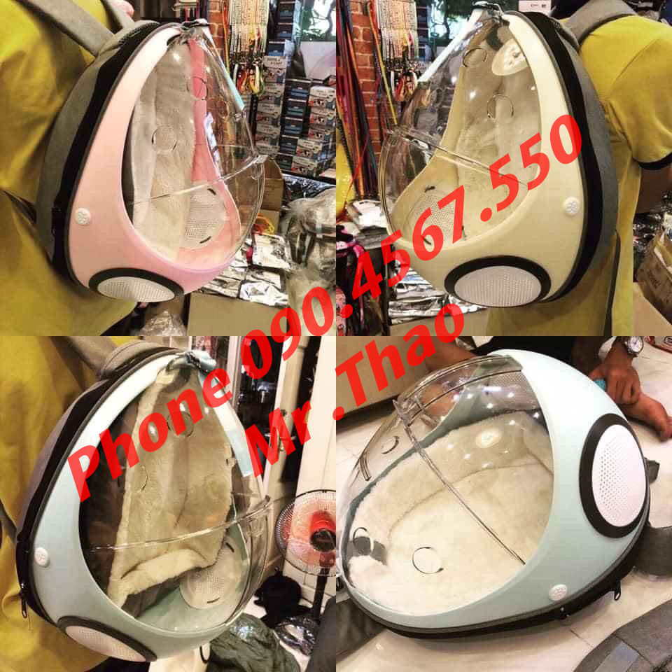 Balo Bọ Dừa - Balo Trong Suốt Cho Chó Mèo - Balo Bọ Rùa , Balo vận chuyển cho chó mèo