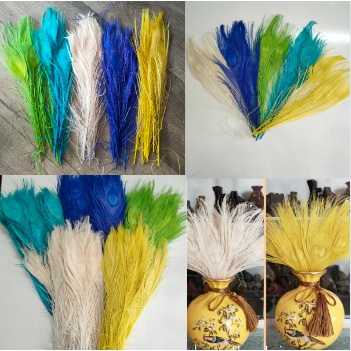 Lông công màu trắng,vàng, xanh trang trí 25-30cm-lông khổng tước chiêu tài,trang trí
